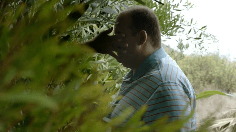 Capture d'écran 2017-10-10 14.46.30.png