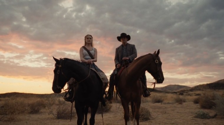 bonus Dolores Teddy.jpg