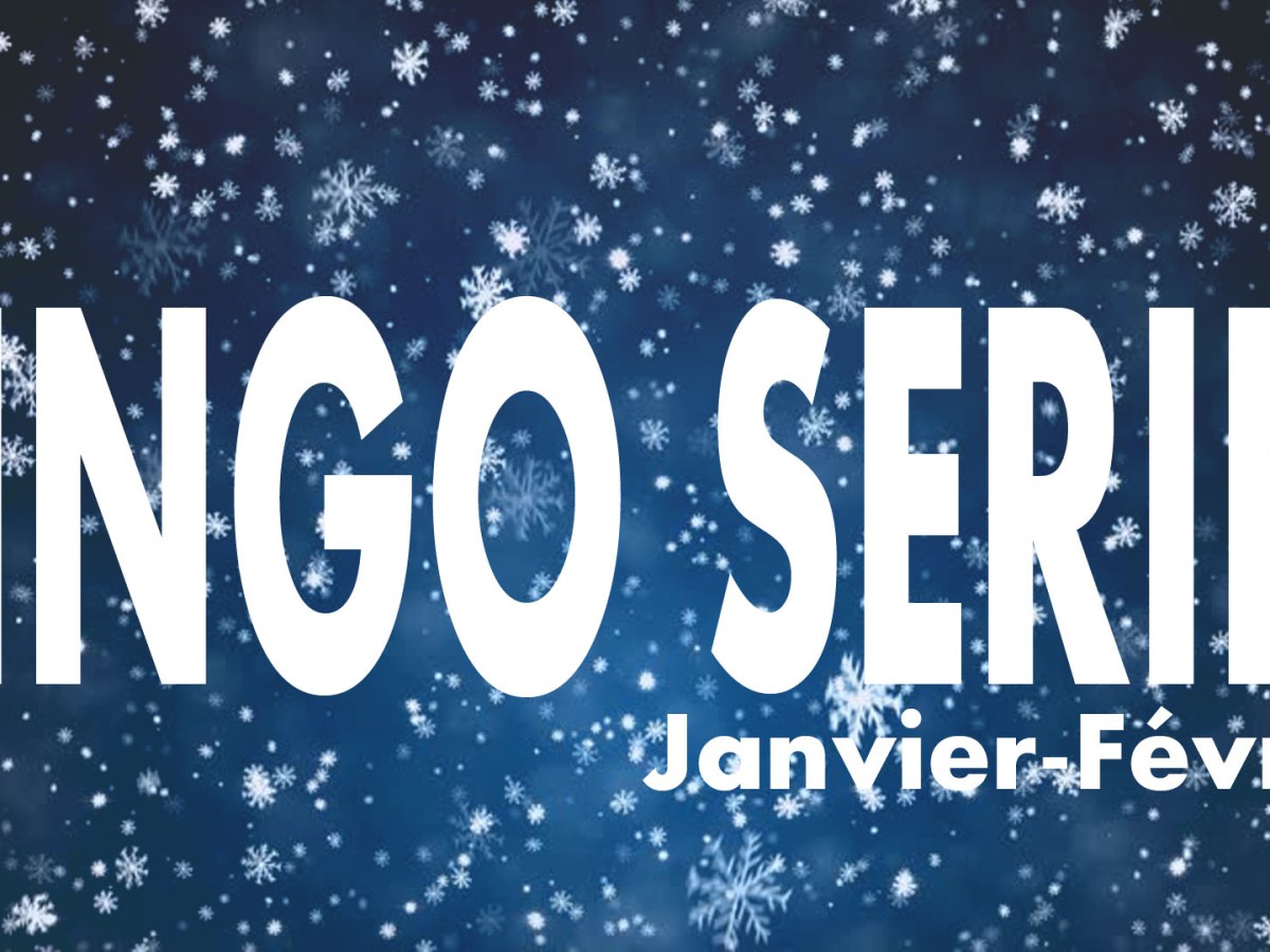 Bingo Séries #34