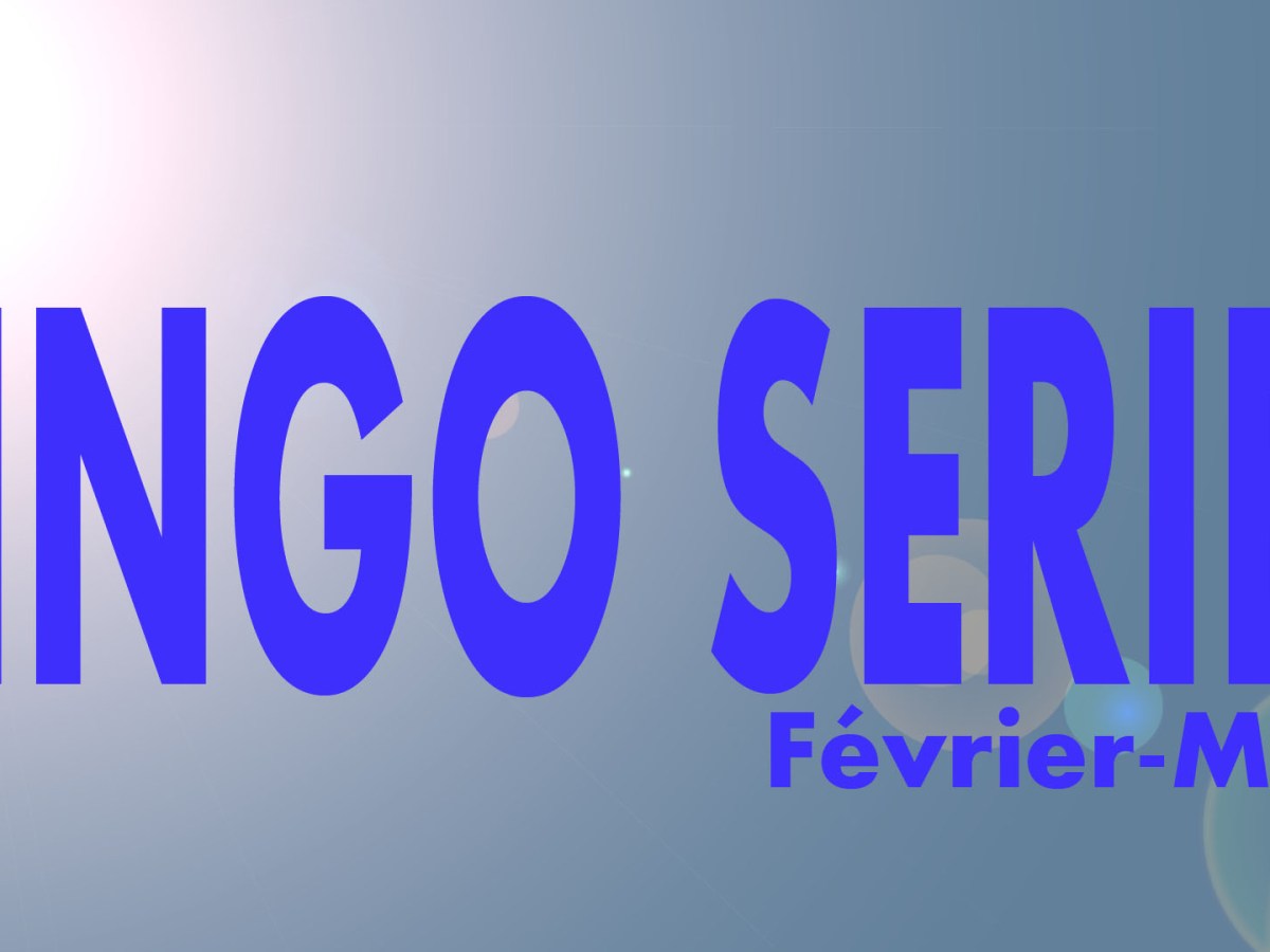 Bingo Séries #35