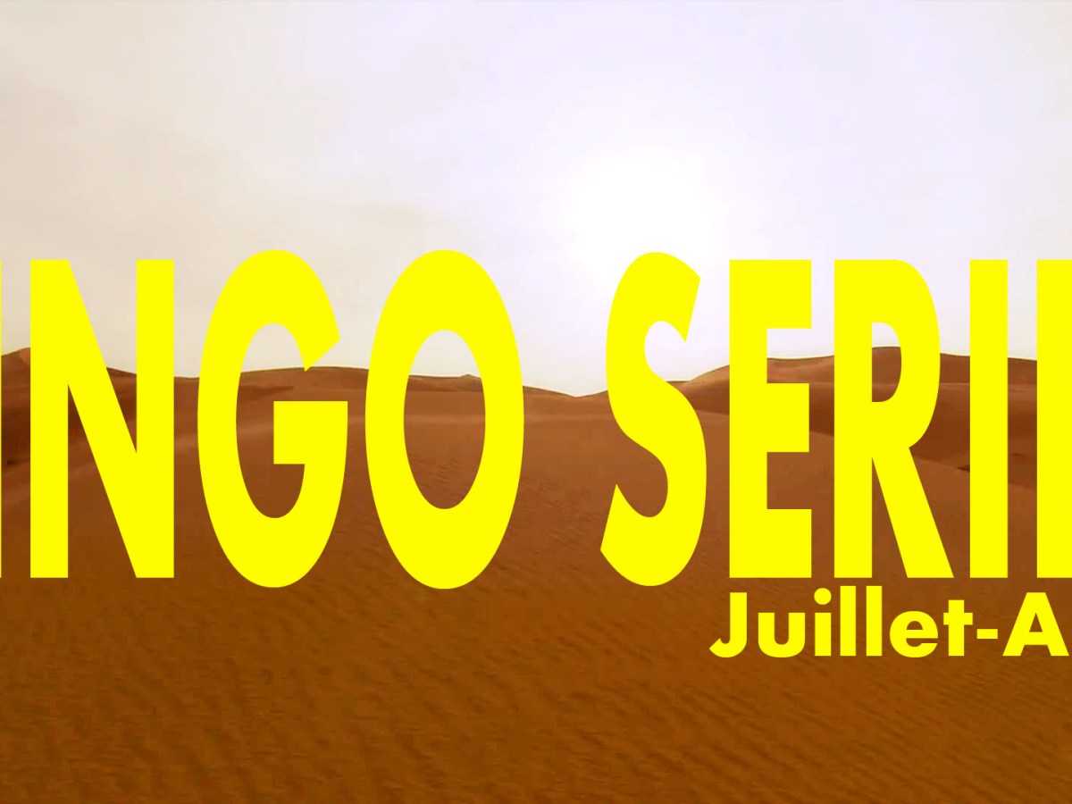 Bingo Séries #40
