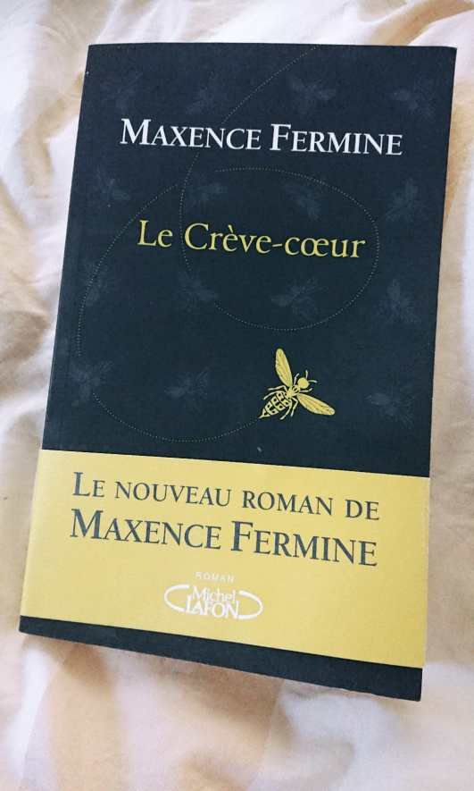 IMG_20210218_160733_169