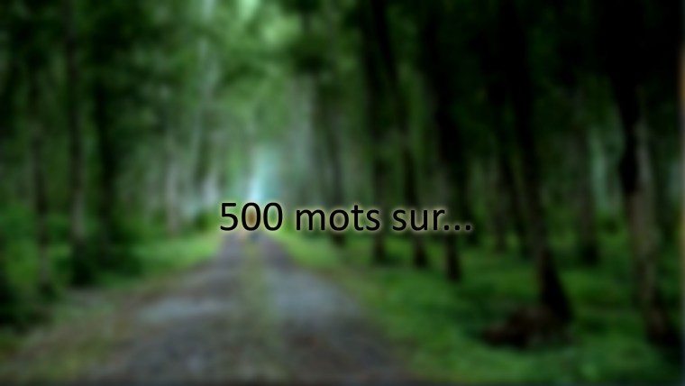500 copie