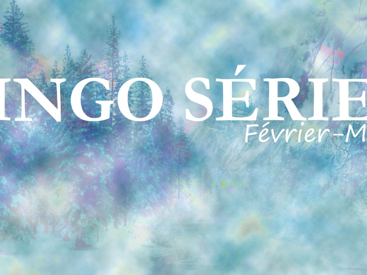 Bingo Séries #83