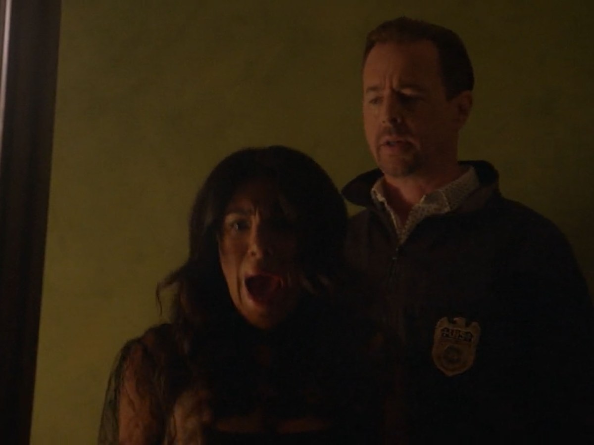 NCIS – S22E03 – The Trouble with Hal –&nbsp;17/20