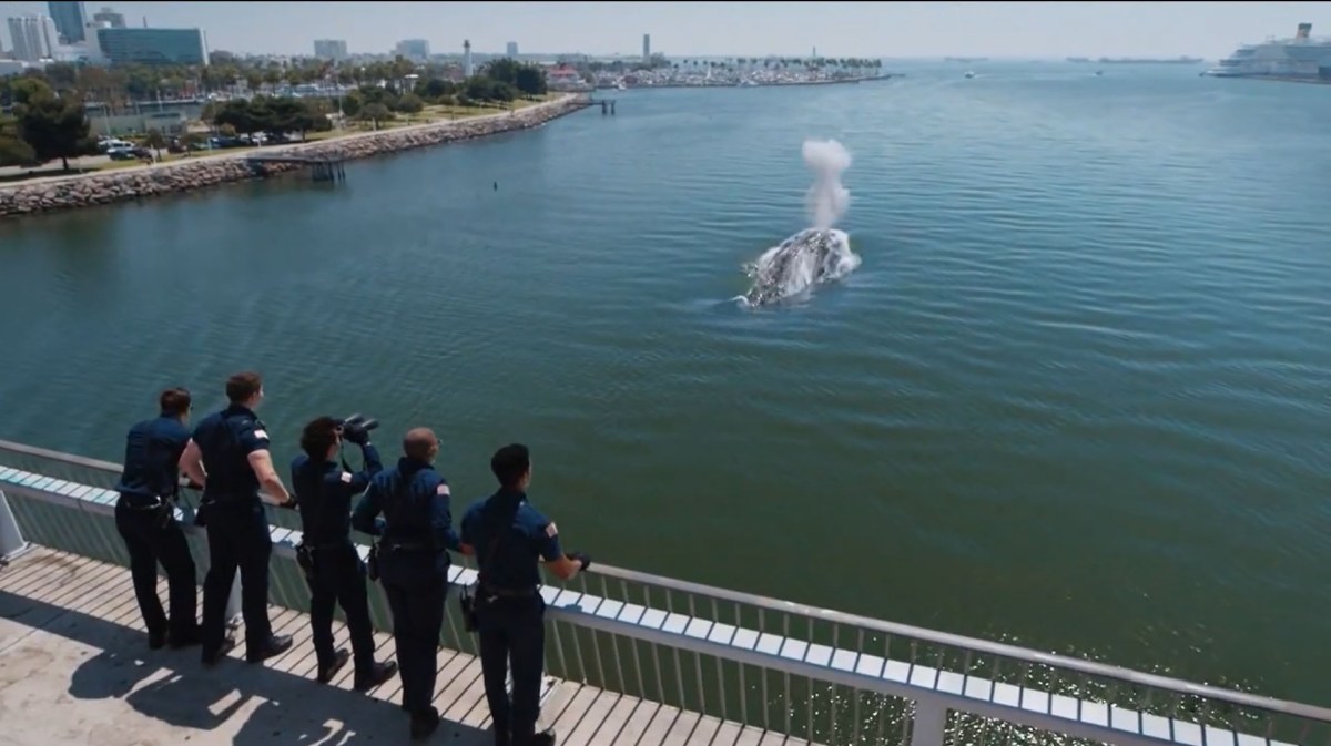 9-1-1 – S09E01 – Eat the Rich –&nbsp;17/20