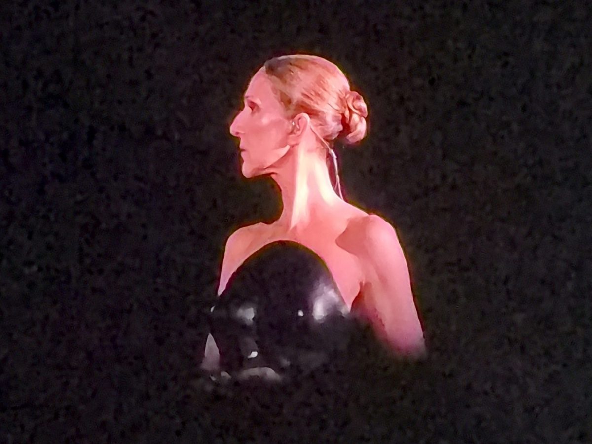 Le concert &laquo;&nbsp;cauchemardesque&nbsp;&raquo; de Céline&nbsp;Dion